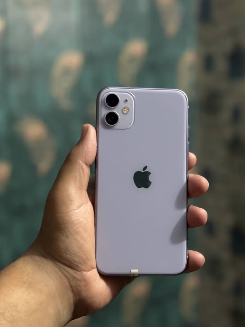Apple iPhone 11 0