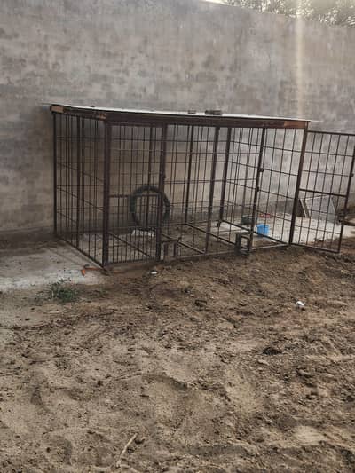 Cage For sale