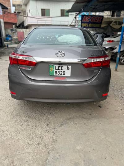 Gli 2016 front and back lights and bumpers