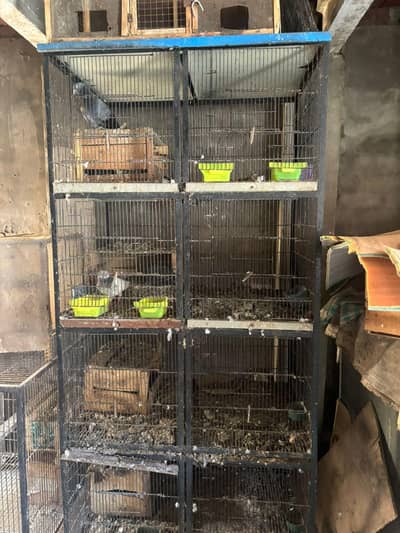 cage for sale