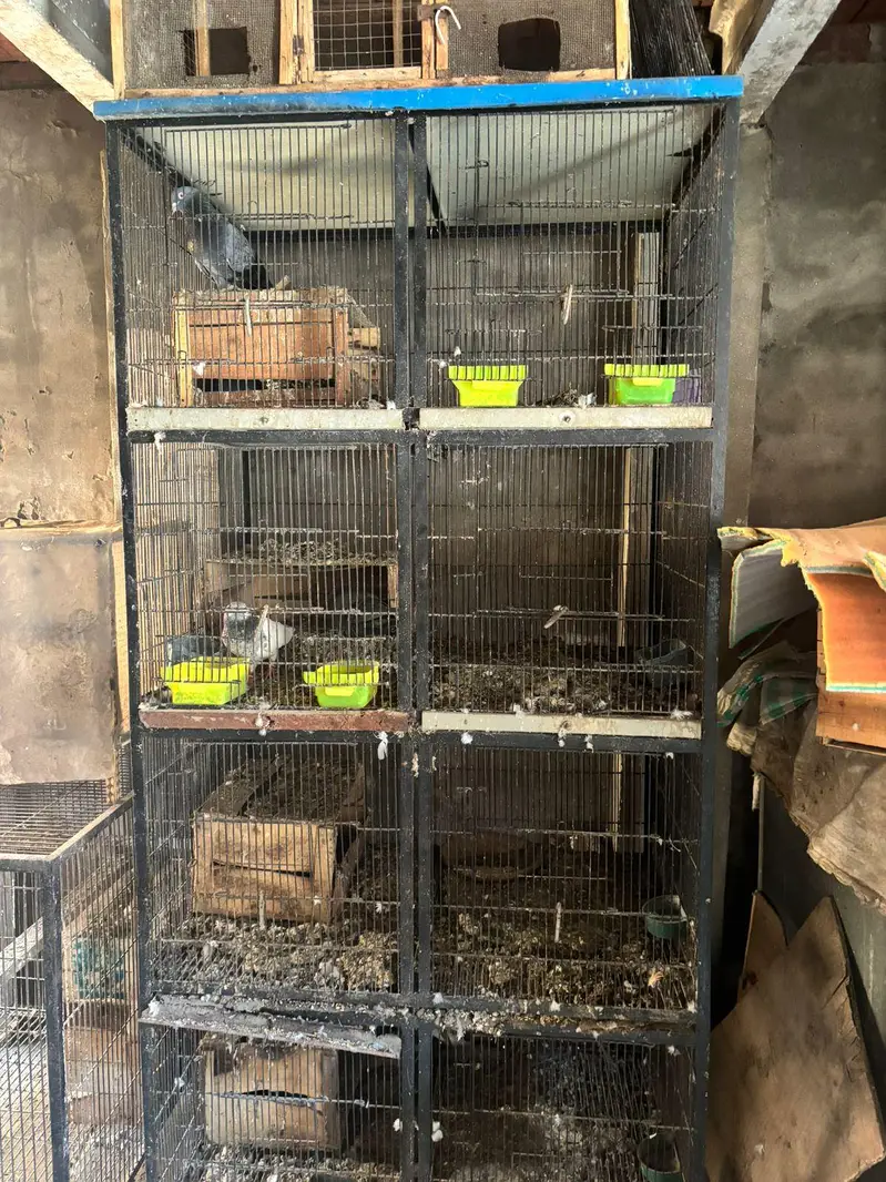 cage for sale — photo 2