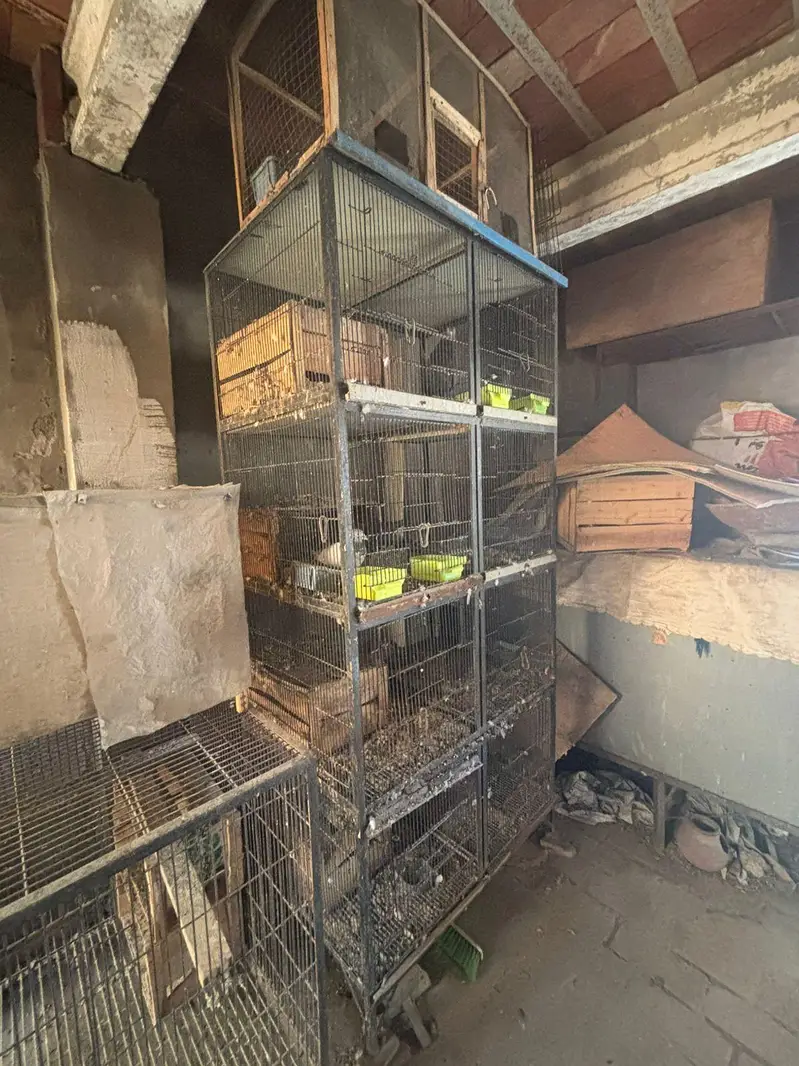 cage for sale — photo 3