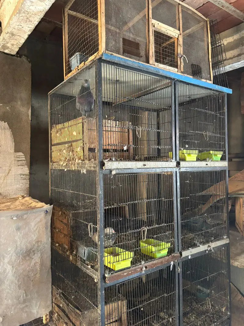 cage for sale — photo 4