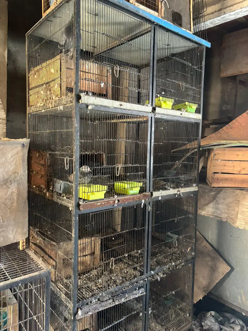 cage for sale — photo 5