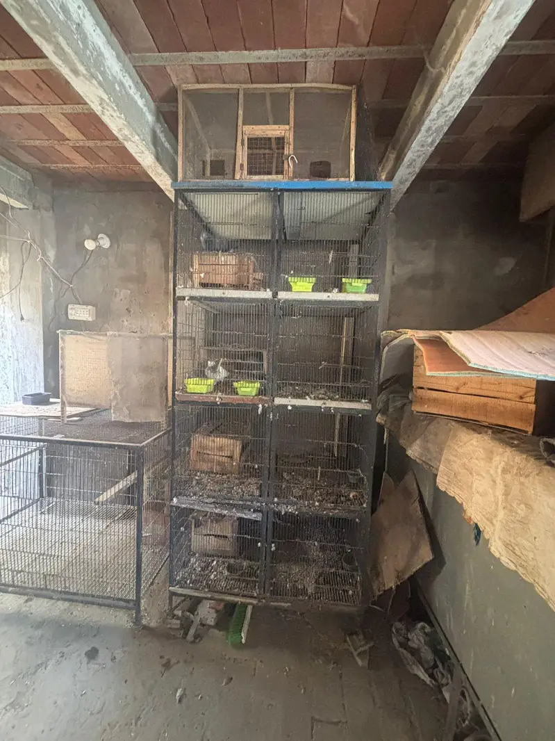 cage for sale — photo 6