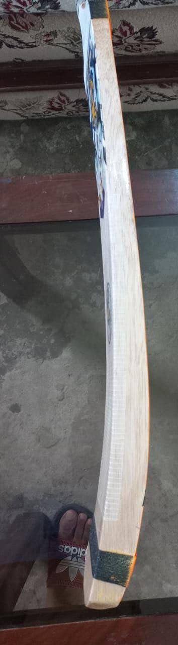 New bat 1