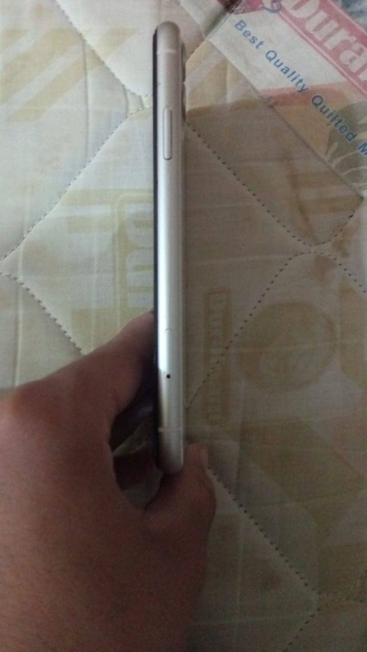 Apple iPhone 11 3