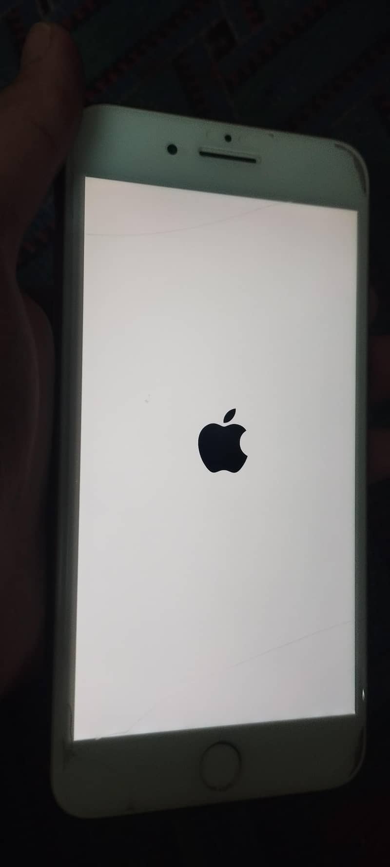 Apple iPhone 7 Plus 1