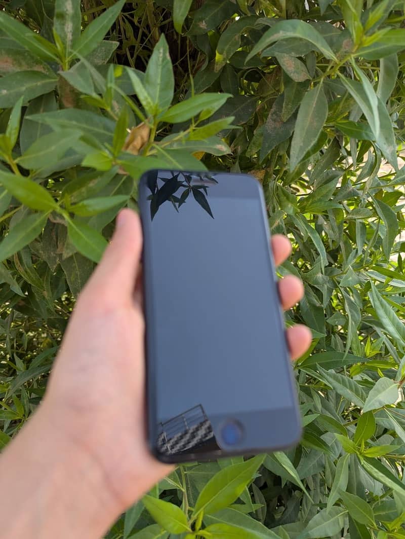 iPhone SE 1