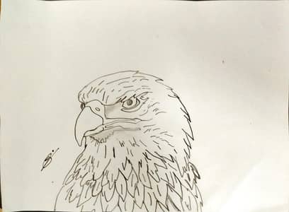  HANDMADE PENCIL SKETCHES FOR SALE! 