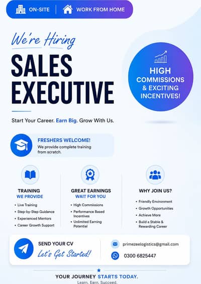 Sales Executive