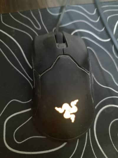 Razer Viper Gaming mouse