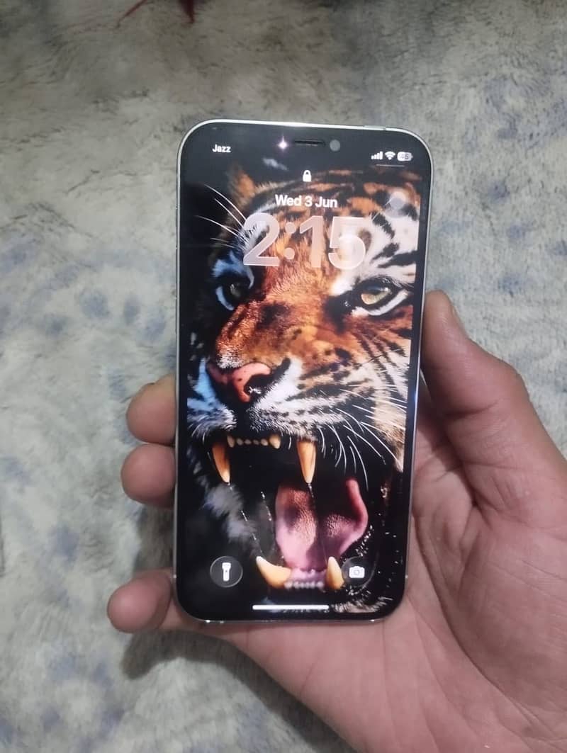Apple iPhone 12 3