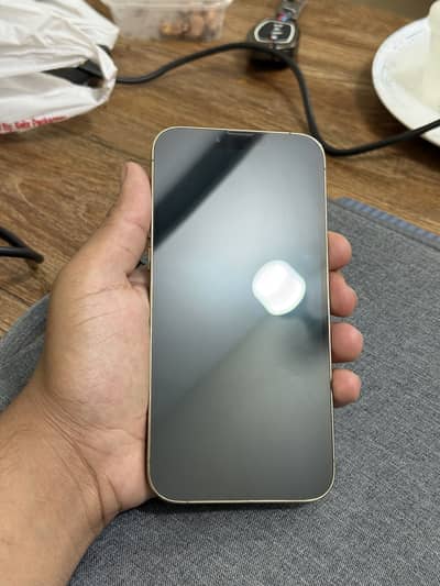 Apple iPhone 13 Pro Max PTA Approved