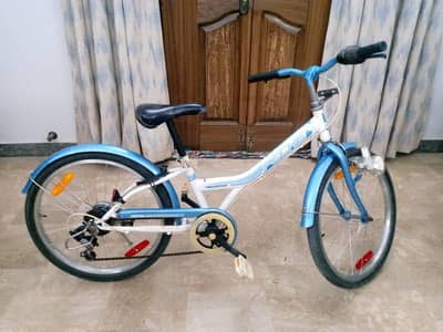 Japanese cycle