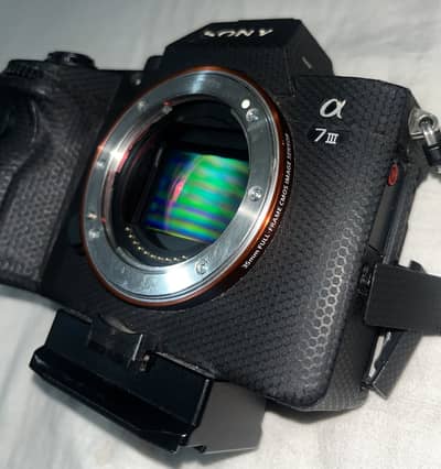 Sony A7iii