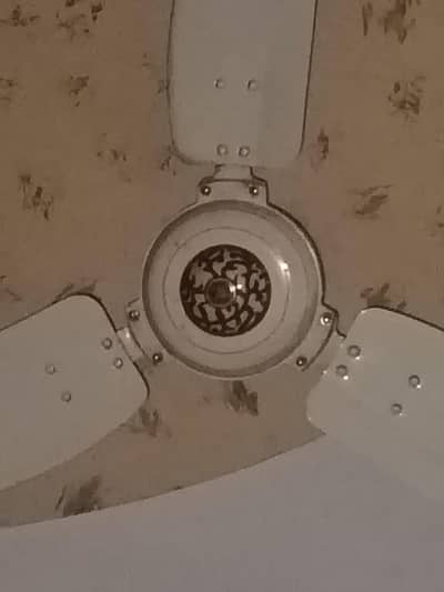GFC Ceiling Fan for sale