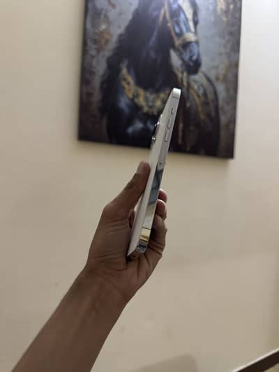 Apple iPhone 13 Pro Max 256gb pta approved