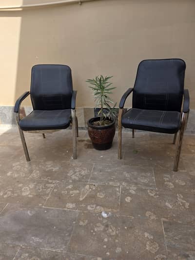 Pair of Visitor Chairs