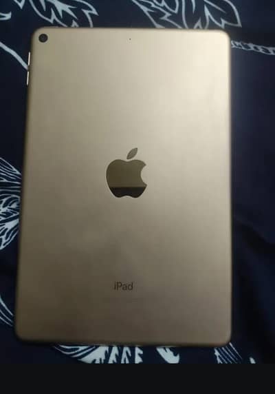 Ipad Mini 5
