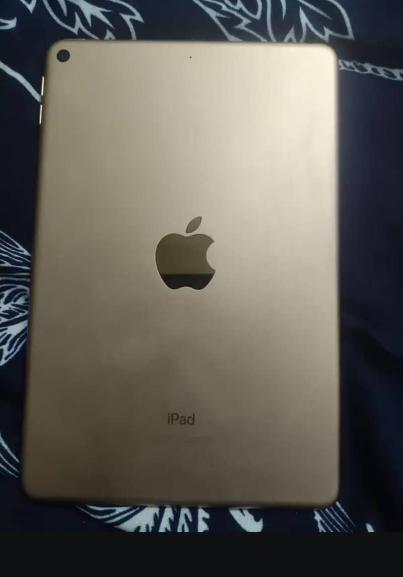 Ipad Mini 5 0