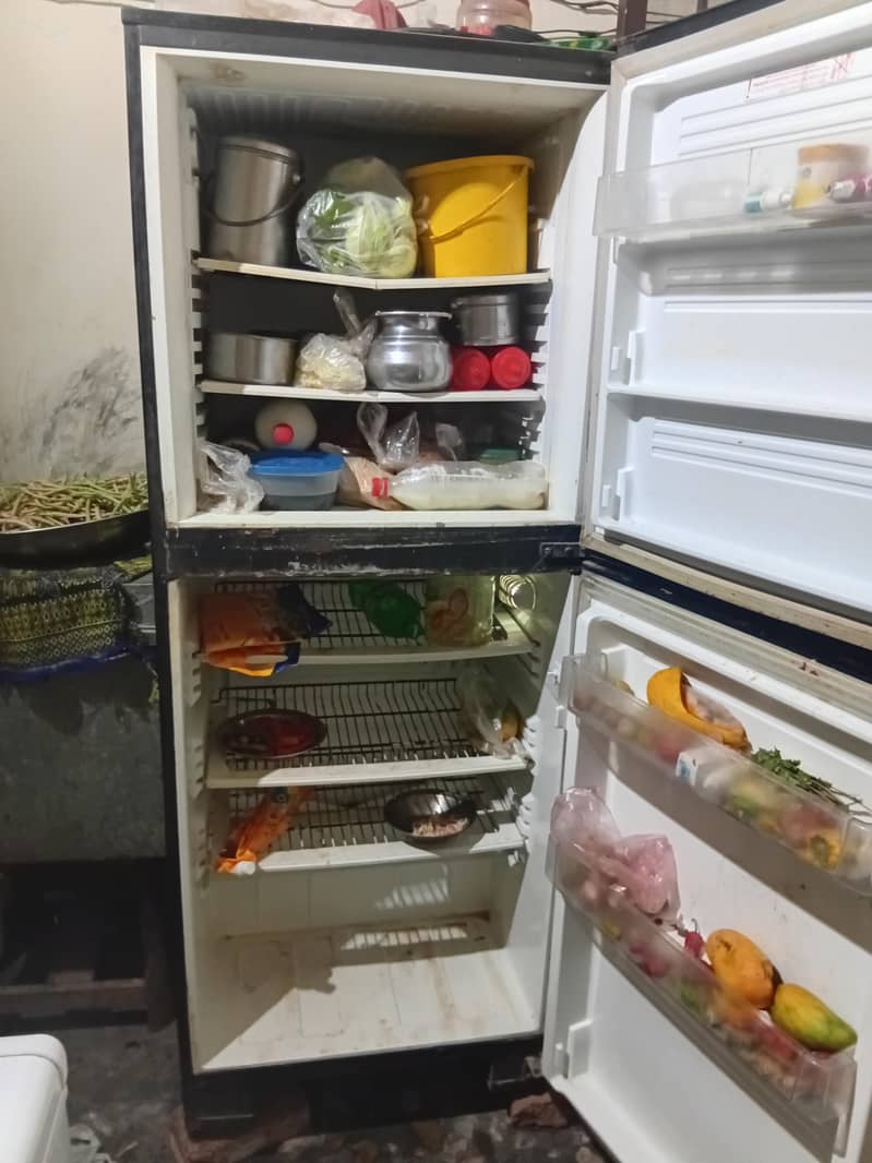 freezer 1