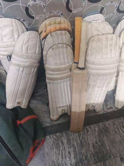 hard ball bats and pads
