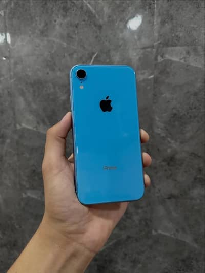 iPhone XR Lush Condition