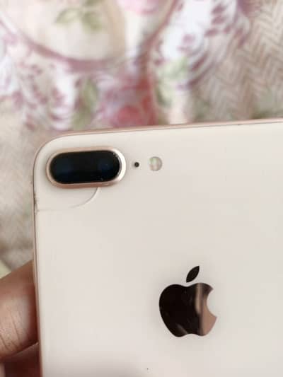 8 plus exchange possible