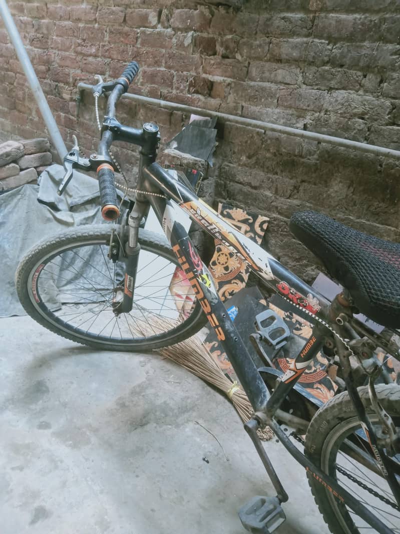 24 inch cycle 1