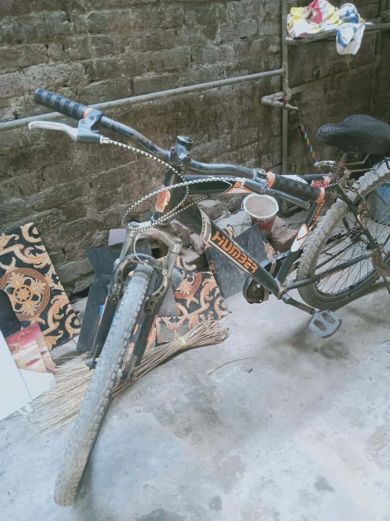 24 inch cycle 3
