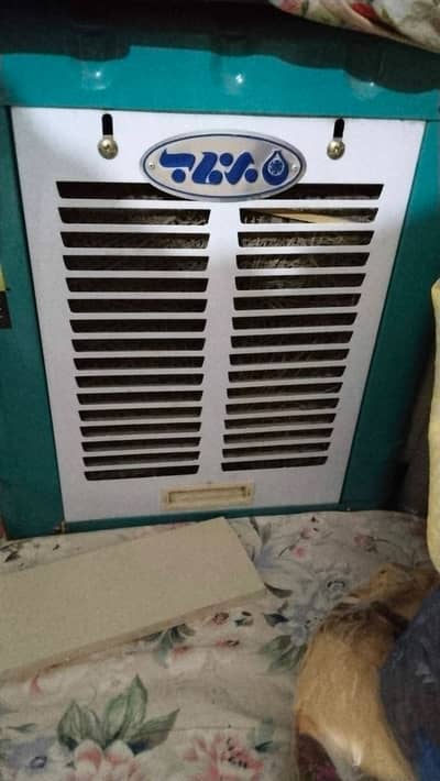 Irani coolar
