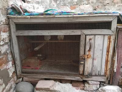 Use Wooden Cage For Sale Arjunt