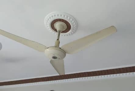 ceiling fans , full copper