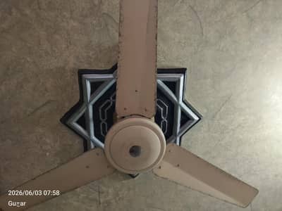 Asia Company Fan