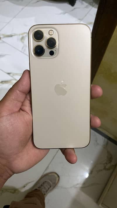 12 pro max physical dual dual pta golden colour