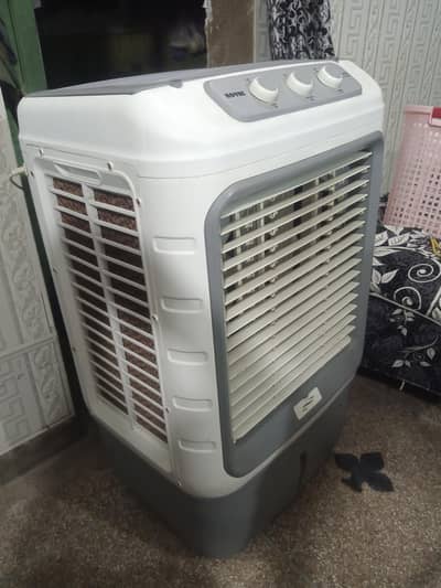 new condition 10 by 10
