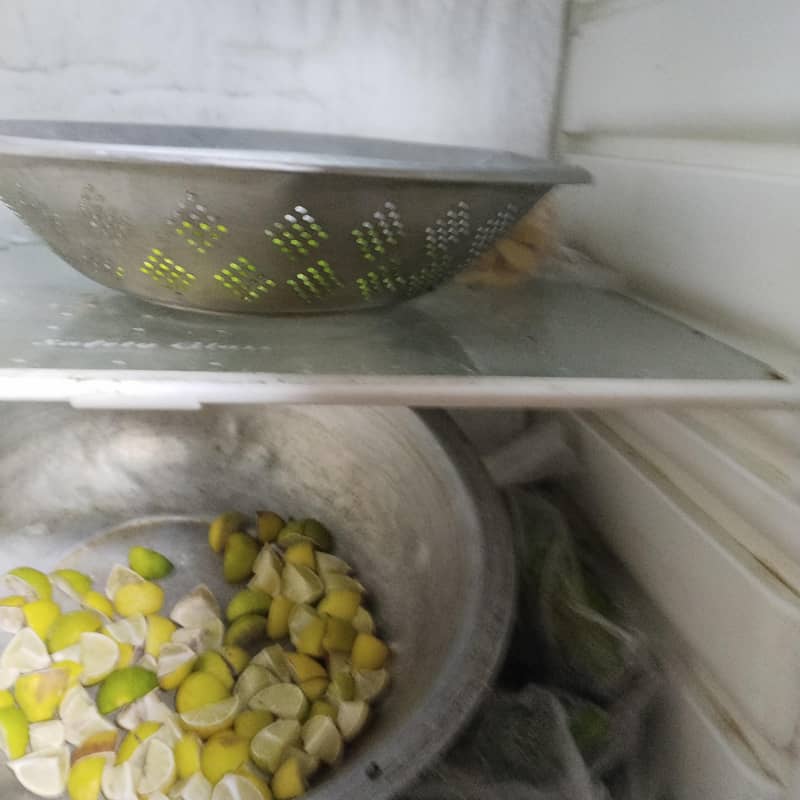 fridge 3