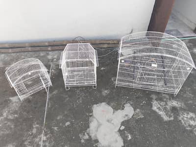 Bird Cages