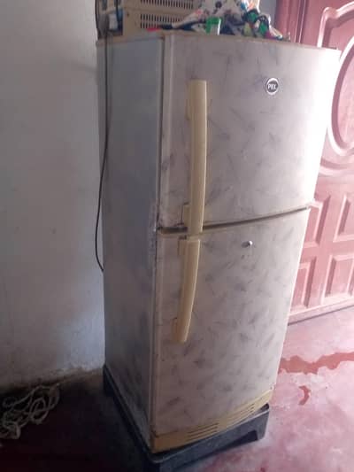 PEL Fridge medium size