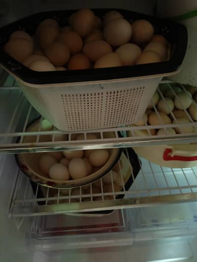 Desii eggs