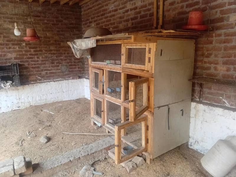Bird Cage 1