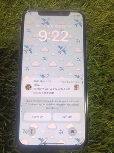 Apple iPhone X