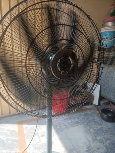 is sele my fan 10000