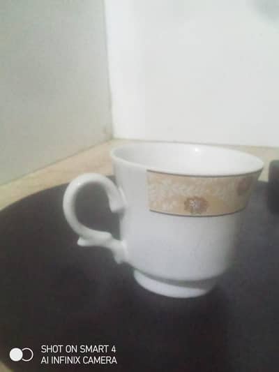 Urdu product Description Writer for Daraz and local shops