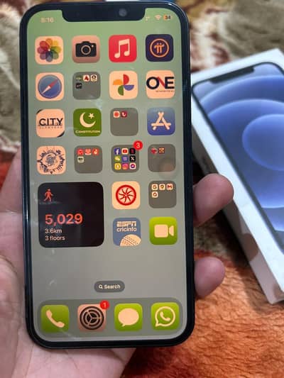 Apple iPhone 12