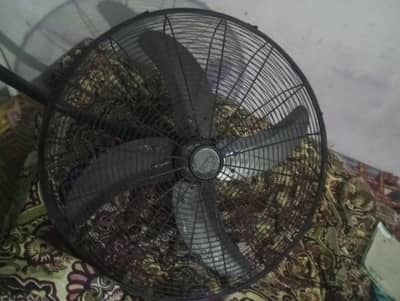 Wall fan