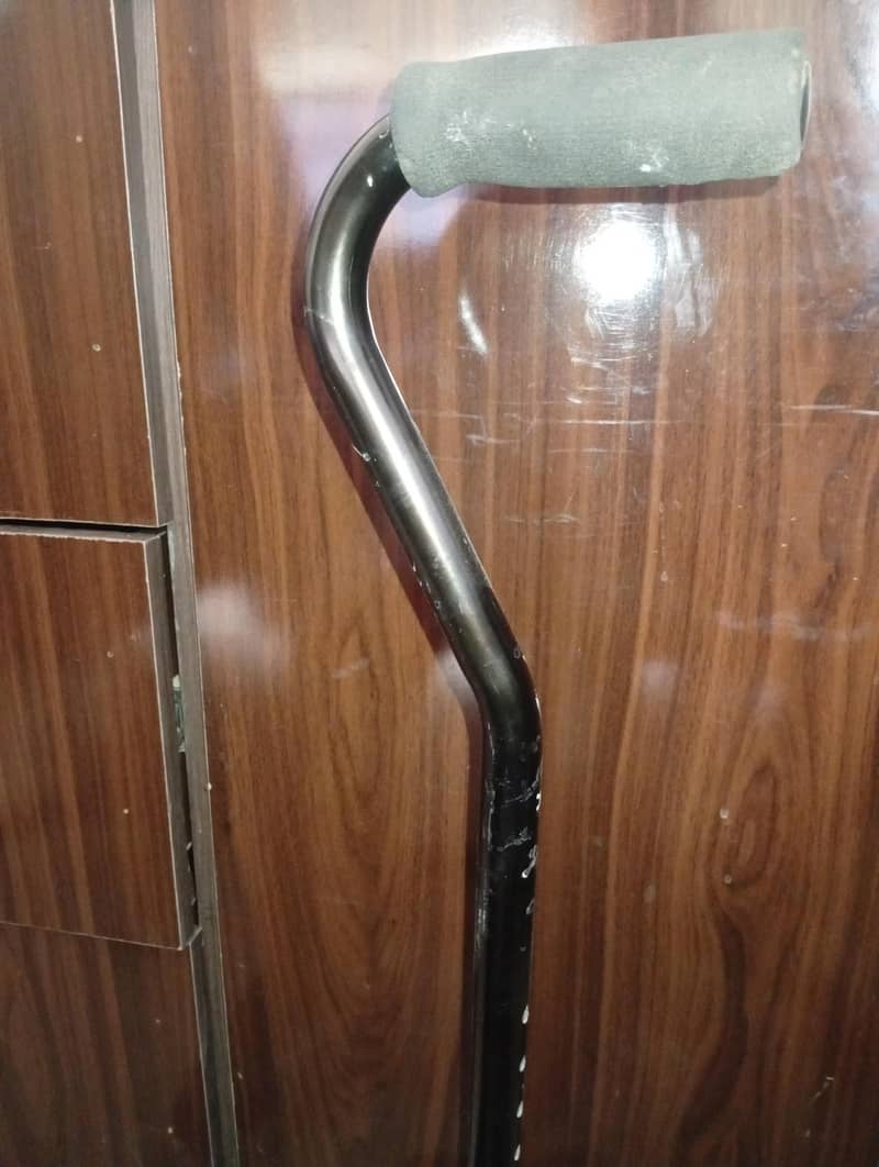 Walker Stick 2