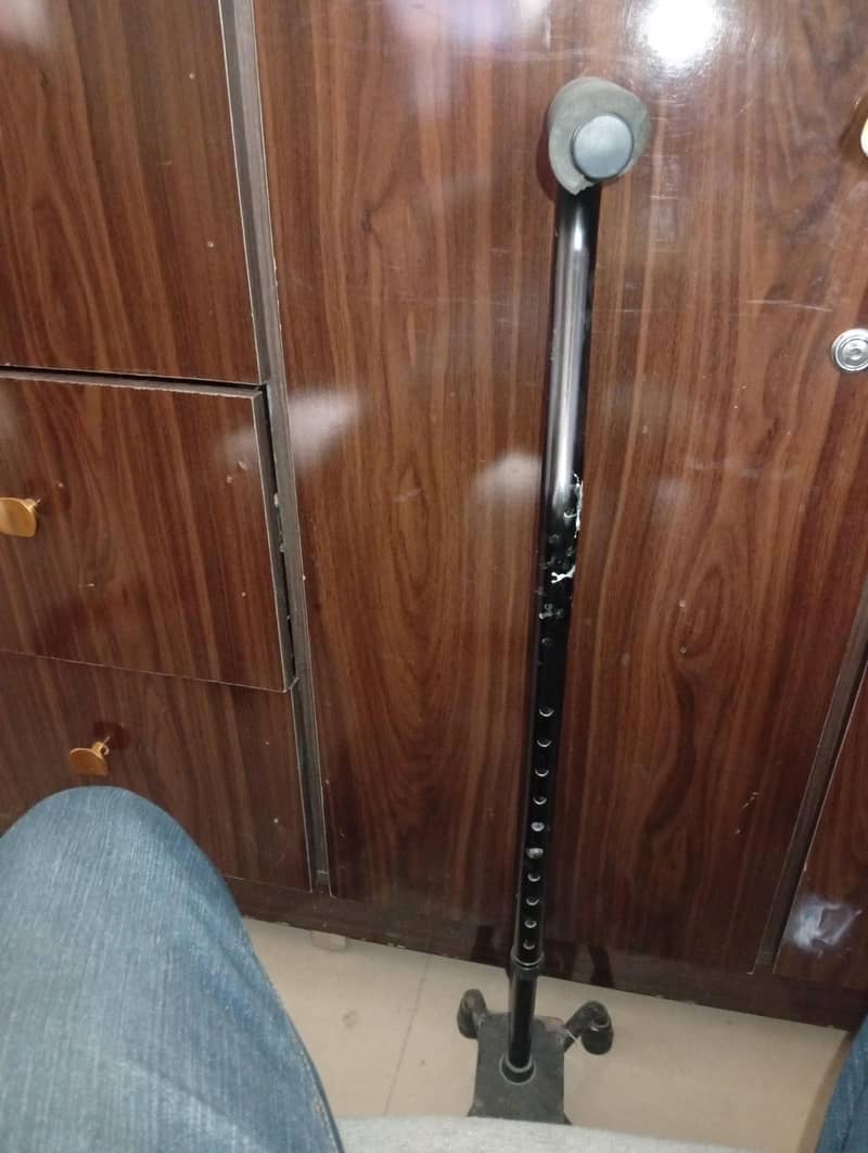 Walker Stick 3