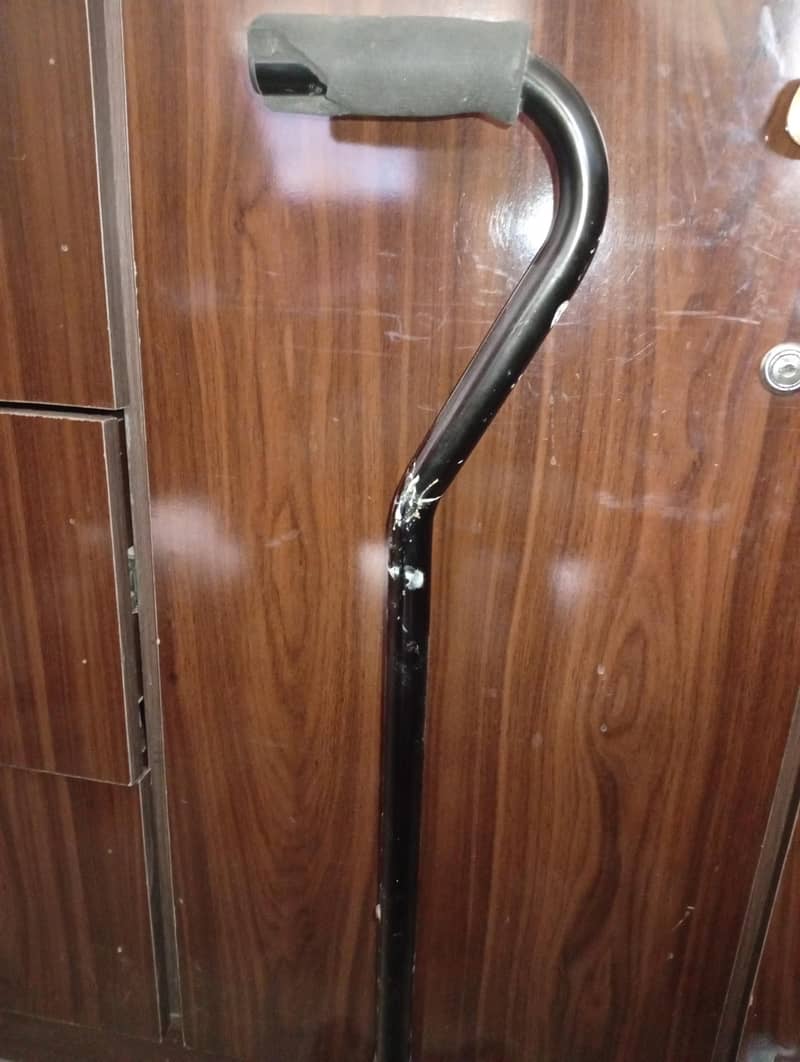 Walker Stick 4